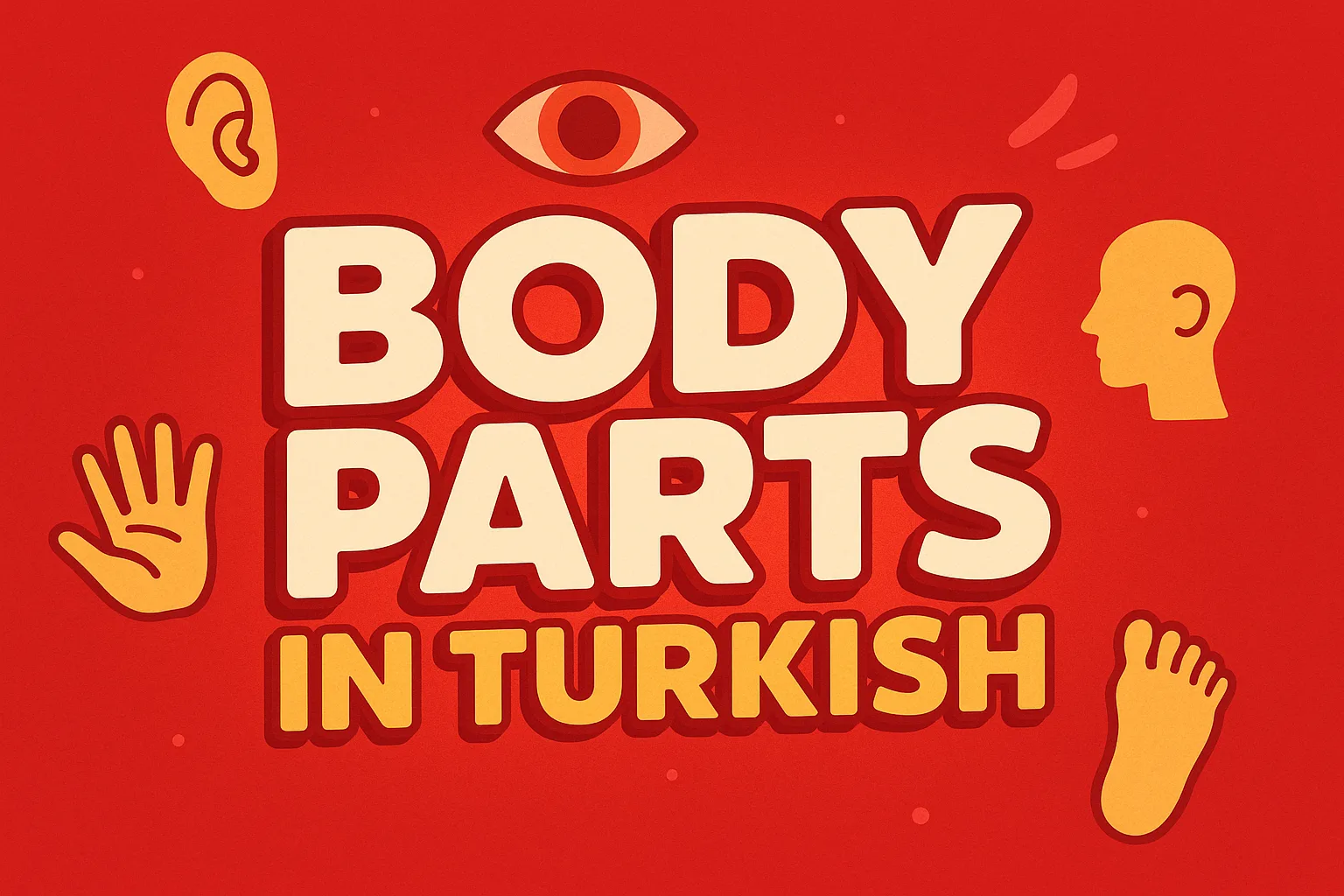 Body Parts in Turkish