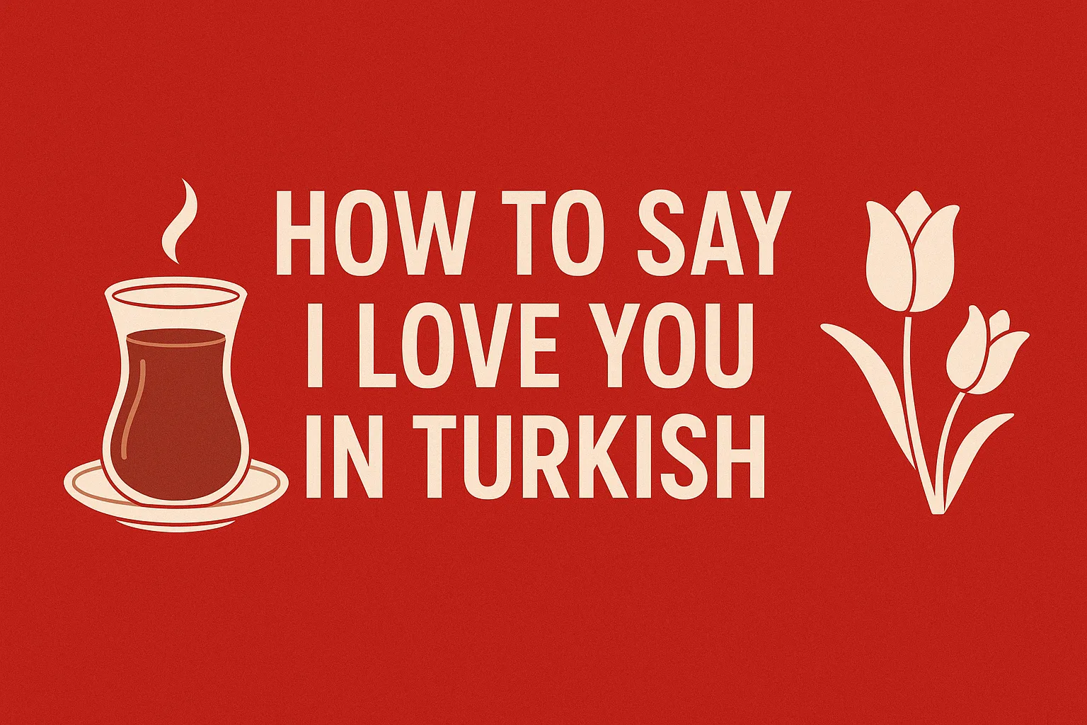 How to Say I Love You in Turkish