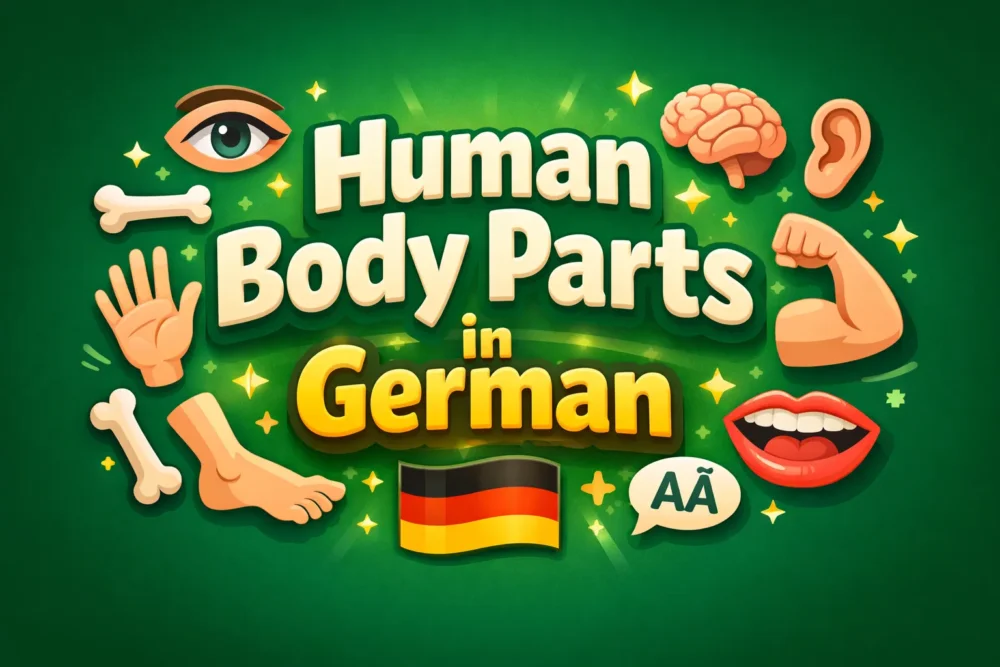 Human Body Parts in German